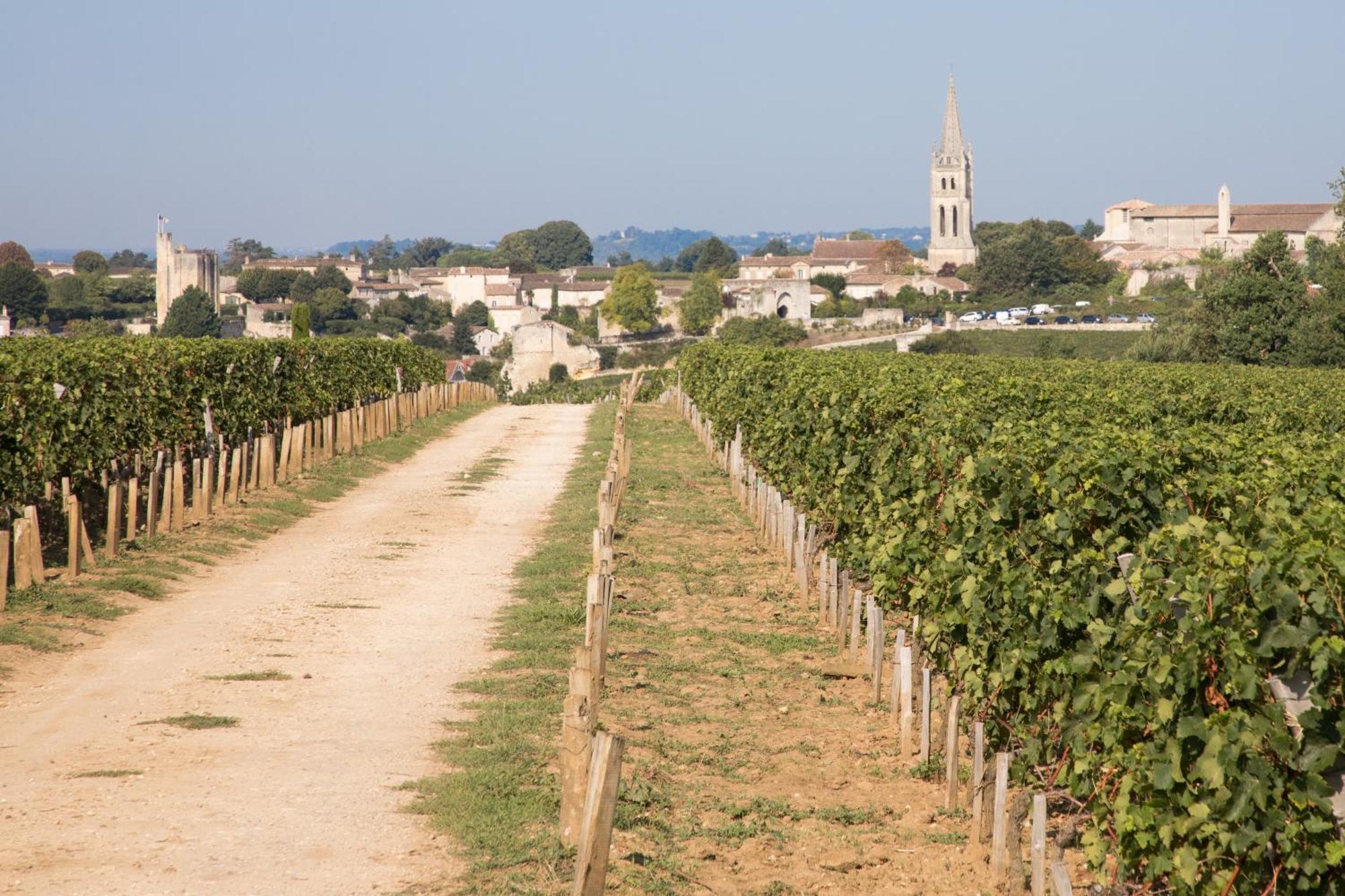Les Clefs De Troplong Mondot Saint-Émilion Exteriör bild